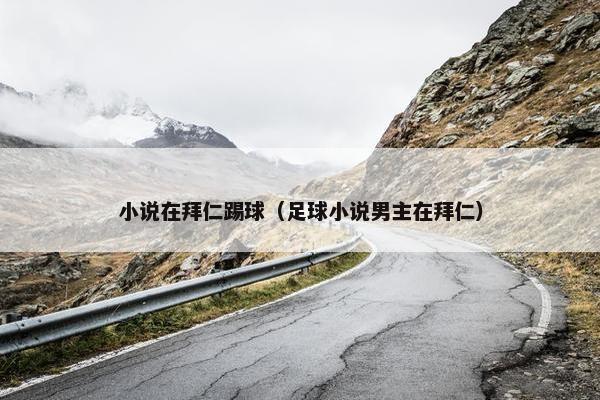 小说在拜仁踢球（足球小说男主在拜仁）