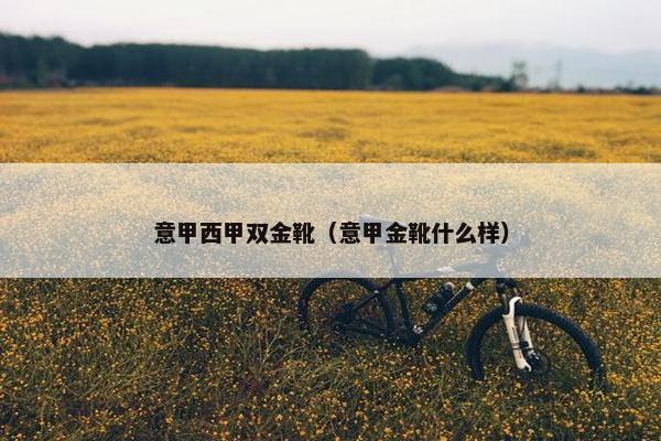 意甲西甲双金靴（意甲金靴什么样）