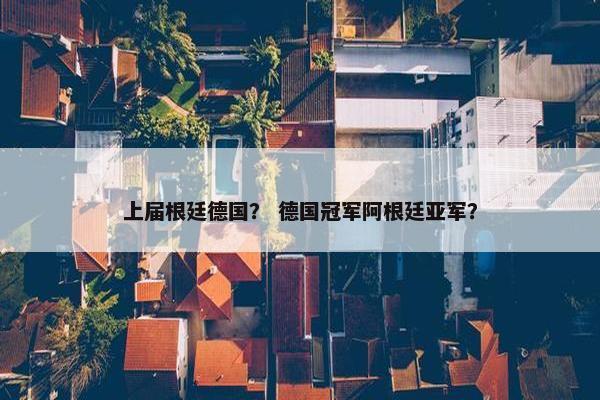上届根廷德国？ 德国冠军阿根廷亚军？
