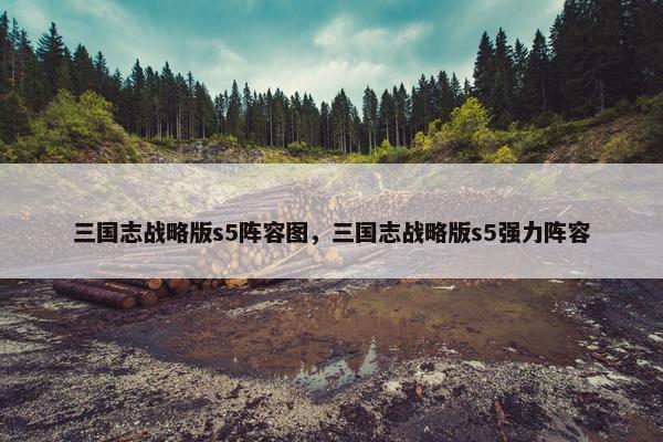 三国志战略版s5阵容图，三国志战略版s5强力阵容