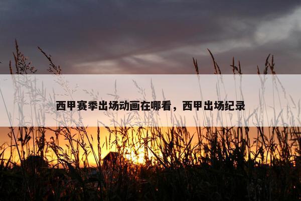 西甲赛季出场动画在哪看，西甲出场纪录