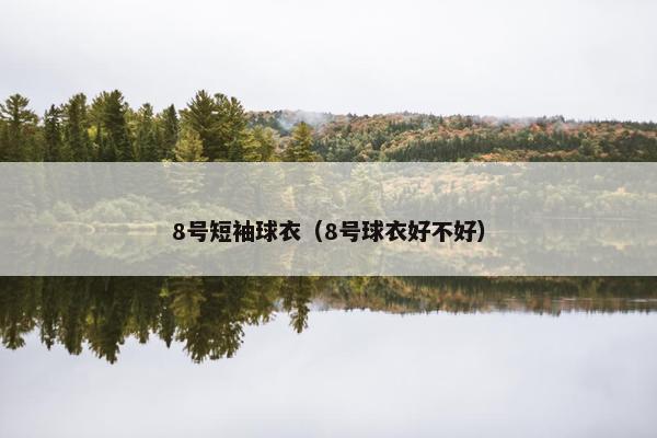 8号短袖球衣（8号球衣好不好）