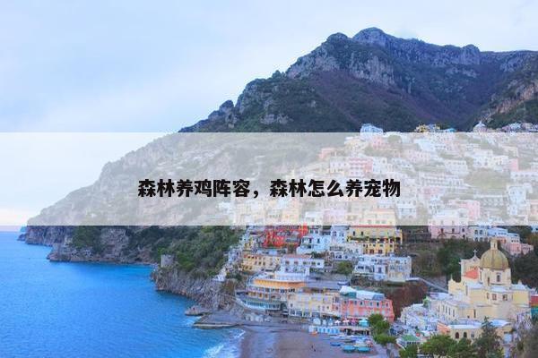 森林养鸡阵容，森林怎么养宠物
