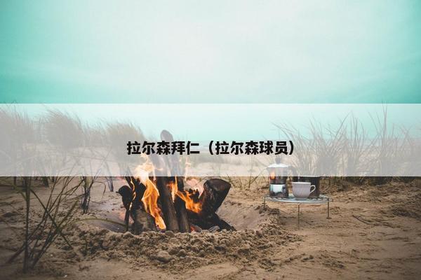 拉尔森拜仁（拉尔森球员）