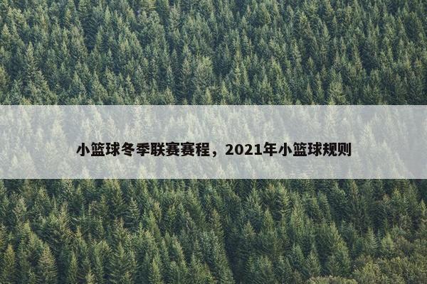 小篮球冬季联赛赛程，2021年小篮球规则