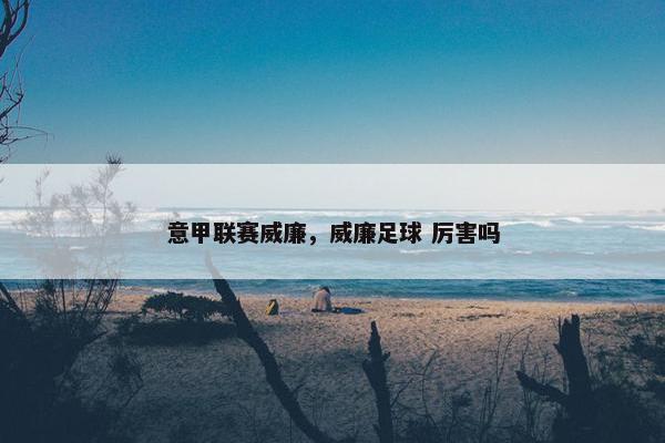 意甲联赛威廉，威廉足球 厉害吗