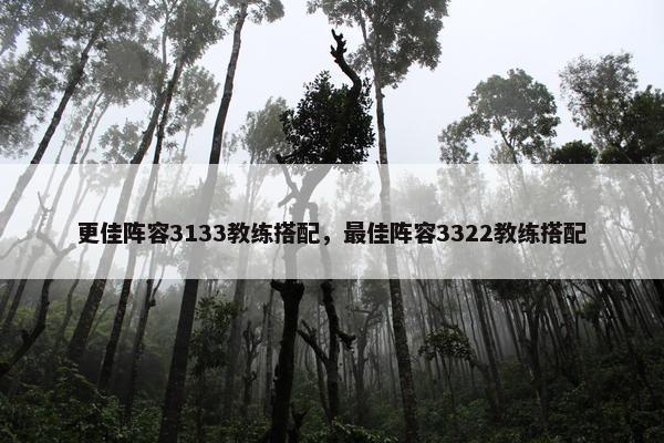 更佳阵容3133教练搭配，最佳阵容3322教练搭配