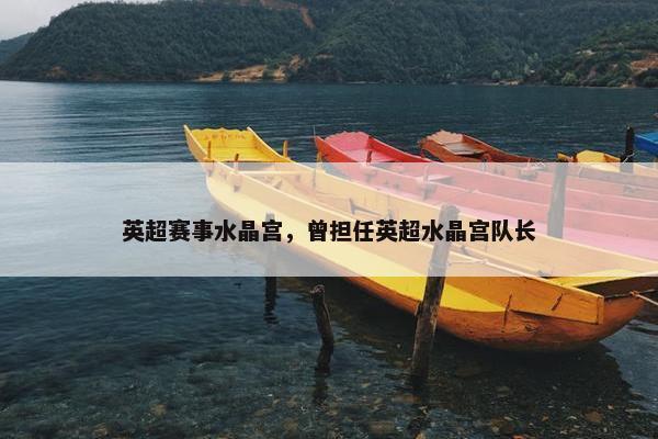 英超赛事水晶宫，曾担任英超水晶宫队长