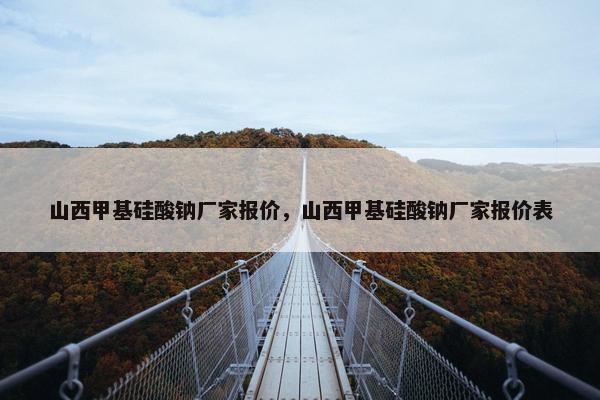 山西甲基硅酸钠厂家报价，山西甲基硅酸钠厂家报价表