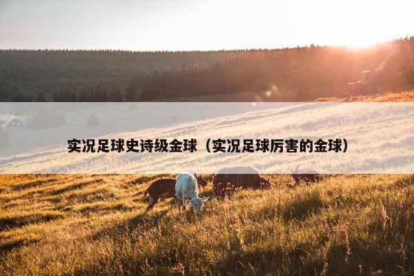 实况足球史诗级金球（实况足球厉害的金球）