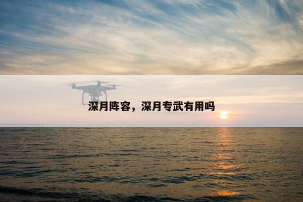 深月阵容，深月专武有用吗