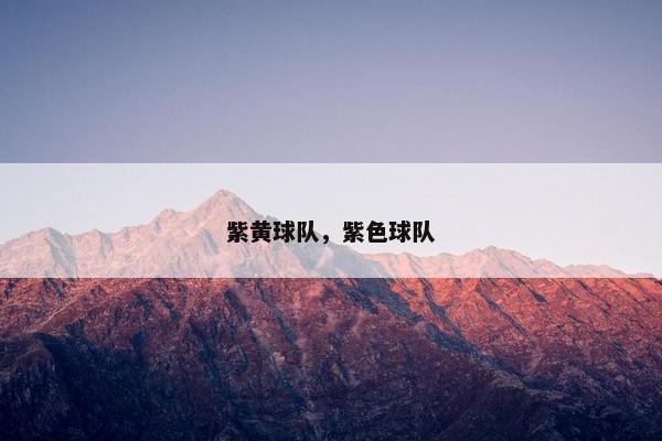 紫黄球队，紫色球队