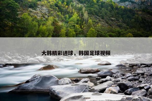 大韩精彩进球，韩国足球视频