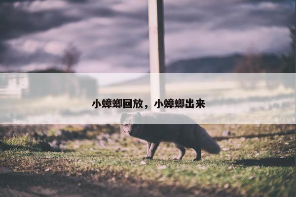 小蟑螂回放，小蟑螂出来