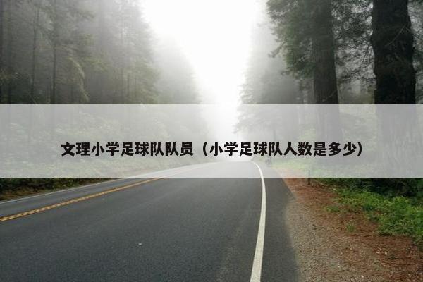 文理小学足球队队员（小学足球队人数是多少）