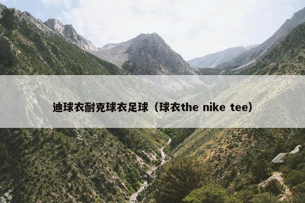 迪球衣耐克球衣足球（球衣the nike tee）