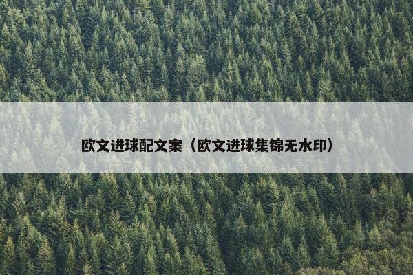 欧文进球配文案（欧文进球集锦无水印）