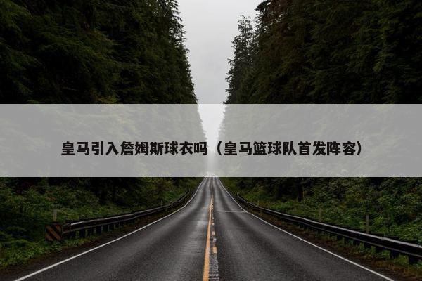 皇马引入詹姆斯球衣吗（皇马篮球队首发阵容）