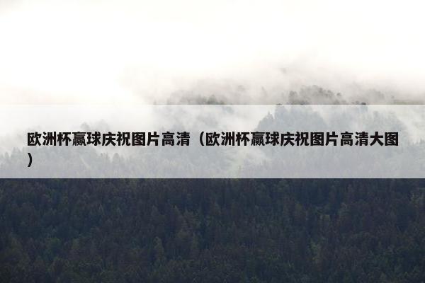 欧洲杯赢球庆祝图片高清（欧洲杯赢球庆祝图片高清大图）