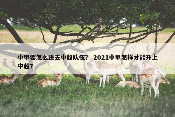中甲要怎么进去中超队伍？ 2021中甲怎样才能升上中超？