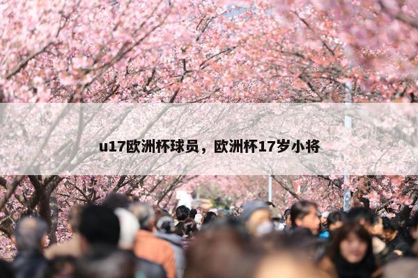u17欧洲杯球员，欧洲杯17岁小将