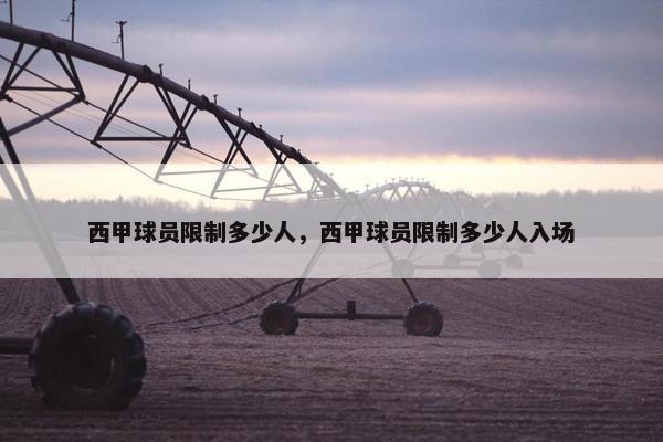 西甲球员限制多少人，西甲球员限制多少人入场