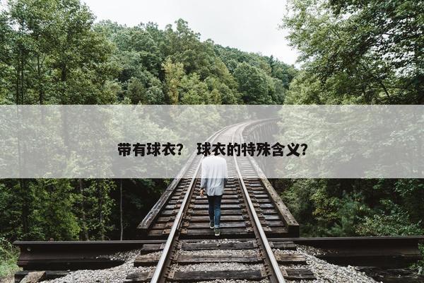 带有球衣？ 球衣的特殊含义？