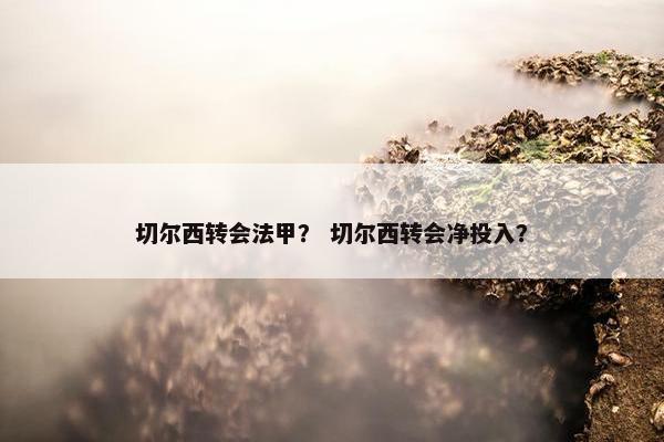 切尔西转会法甲？ 切尔西转会净投入？