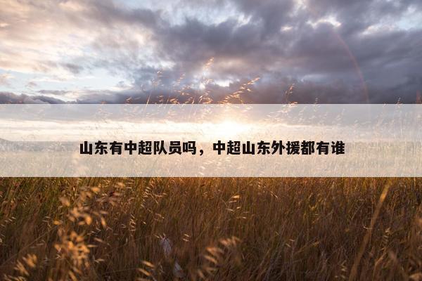 山东有中超队员吗，中超山东外援都有谁