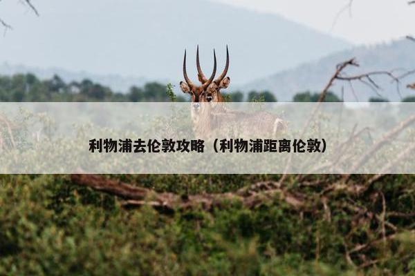利物浦去伦敦攻略（利物浦距离伦敦）