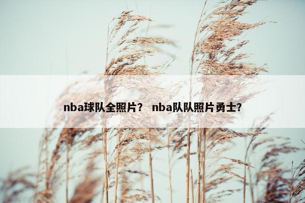 nba球队全照片？ nba队队照片勇士？