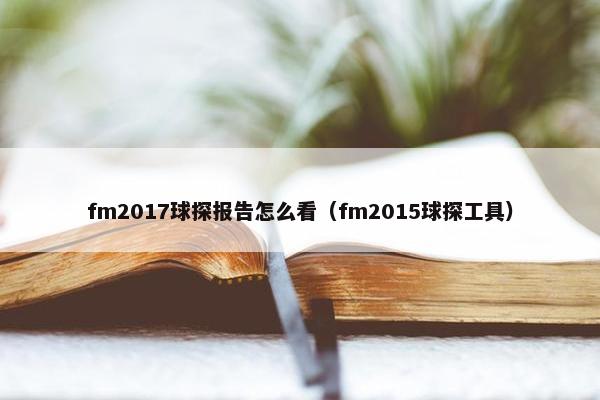 fm2017球探报告怎么看（fm2015球探工具）