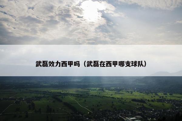 武磊效力西甲吗（武磊在西甲哪支球队）