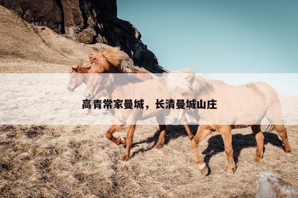 高青常家曼城，长清曼城山庄