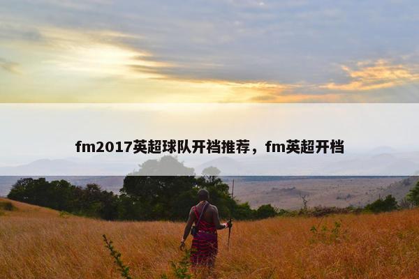 fm2017英超球队开裆推荐，fm英超开档