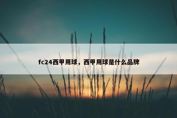 fc24西甲用球，西甲用球是什么品牌