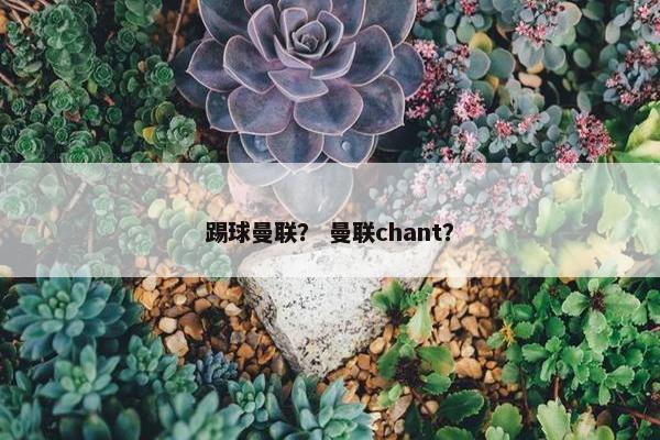 踢球曼联？ 曼联chant？