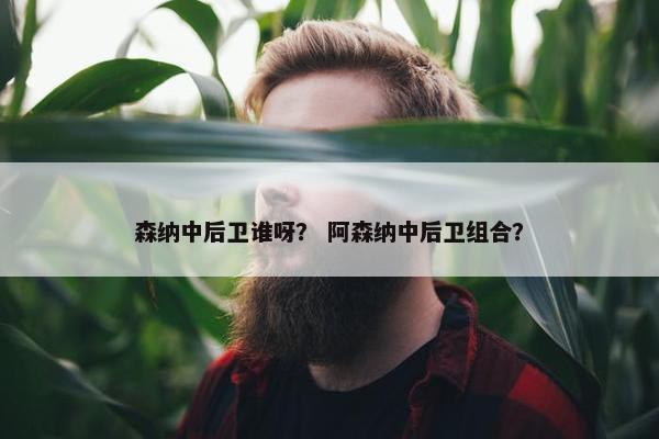 森纳中后卫谁呀？ 阿森纳中后卫组合？