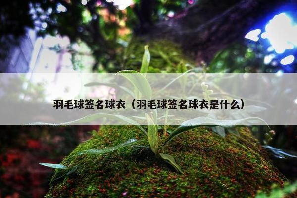 羽毛球签名球衣（羽毛球签名球衣是什么）