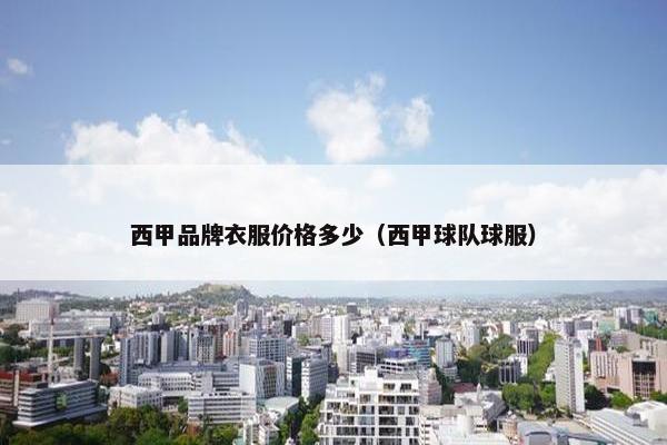西甲品牌衣服价格多少（西甲球队球服）