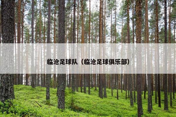 临沧足球队（临沧足球俱乐部）
