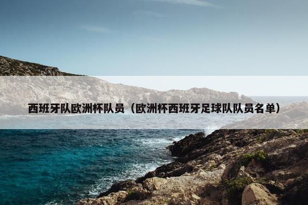 西班牙队欧洲杯队员（欧洲杯西班牙足球队队员名单）