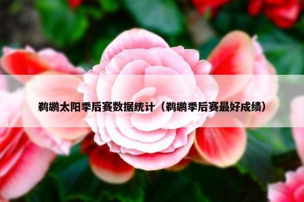 鹈鹕太阳季后赛数据统计（鹈鹕季后赛最好成绩）