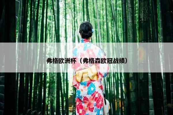 弗格欧洲杯（弗格森欧冠战绩）