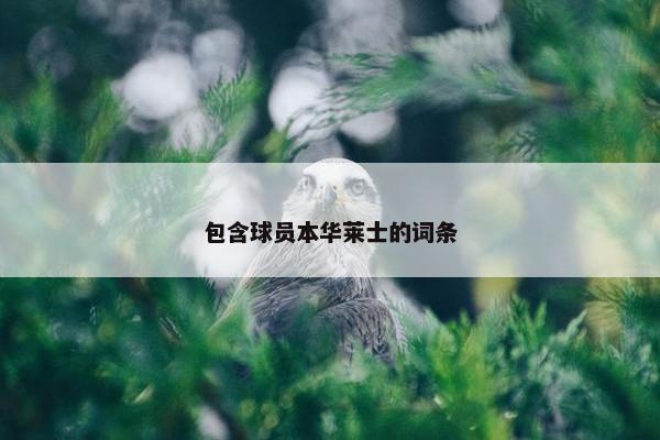 包含球员本华莱士的词条