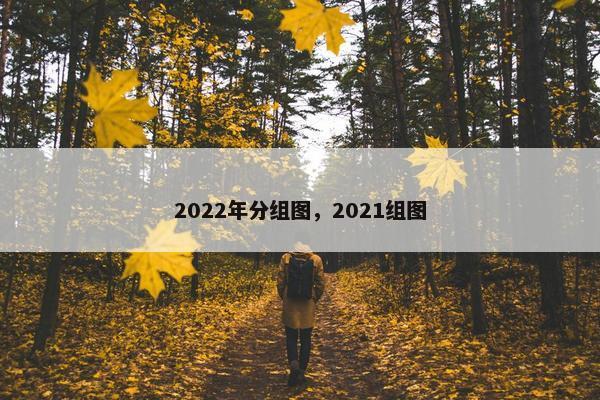 2022年分组图，2021组图