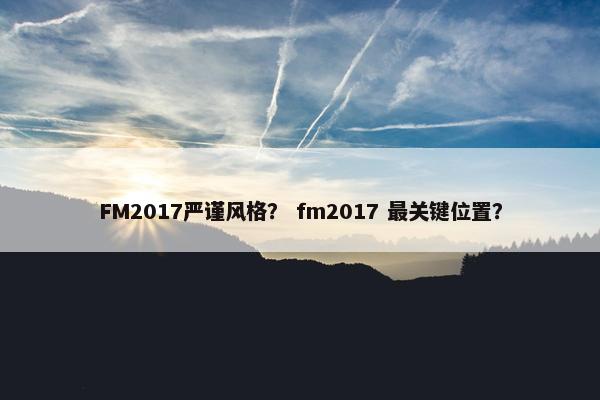 FM2017严谨风格？ fm2017 最关键位置？
