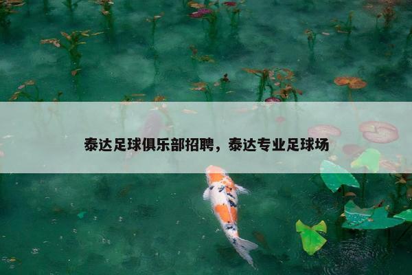 泰达足球俱乐部招聘，泰达专业足球场