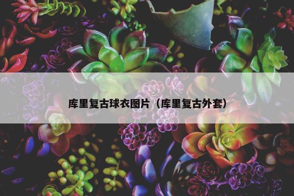 库里复古球衣图片（库里复古外套）