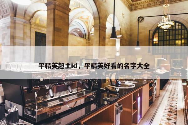 平精英超土id，平精英好看的名字大全